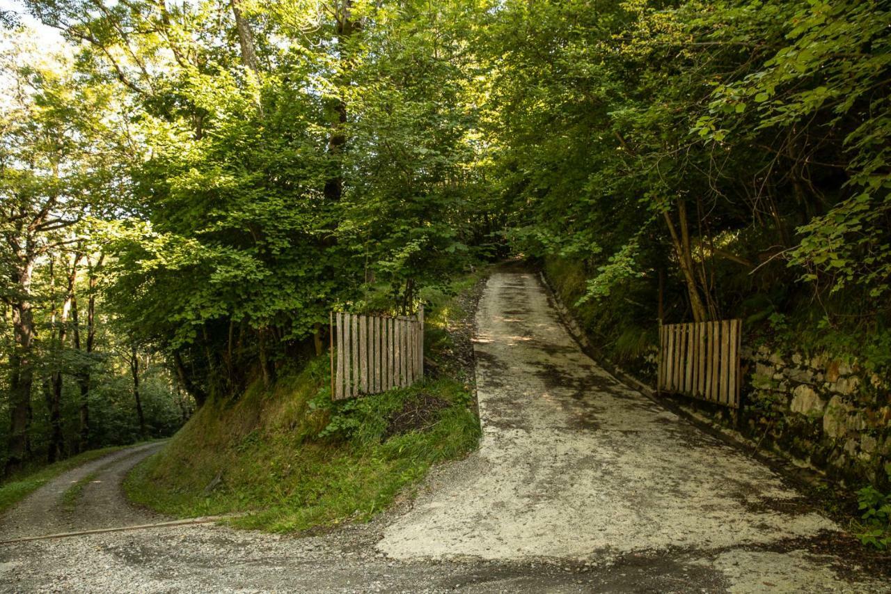Chalets de Las Costes: Rustic Forest Retreat near Loudenvielle Ski Slopes Exterior photo
