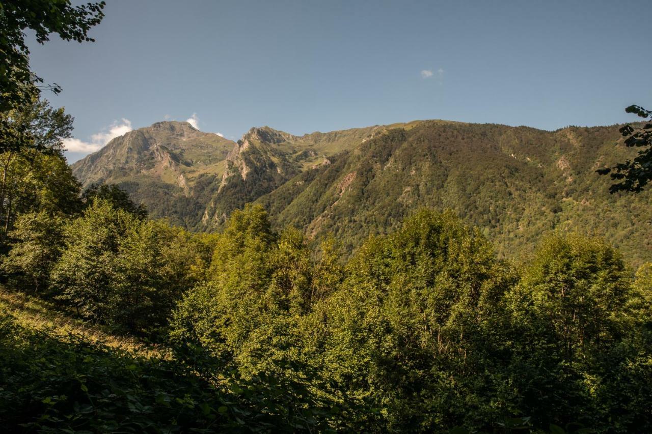 Chalets de Las Costes: Rustic Forest Retreat near Loudenvielle Ski Slopes Exterior photo