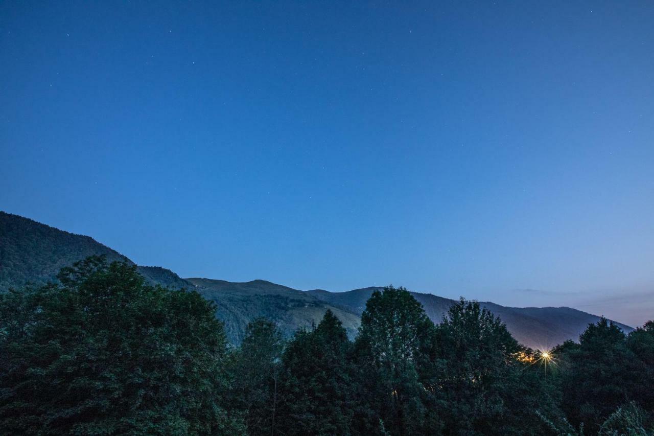 Chalets de Las Costes: Rustic Forest Retreat near Loudenvielle Ski Slopes Exterior photo